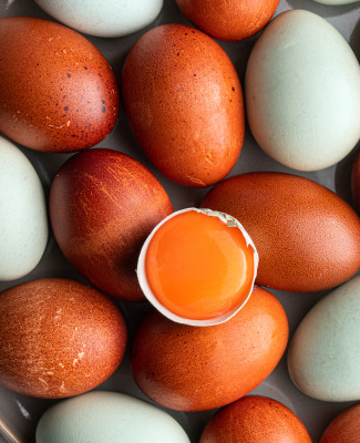 HappyEgg Modo 5 1 v2