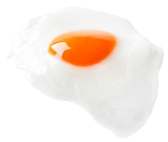 Falling Egg